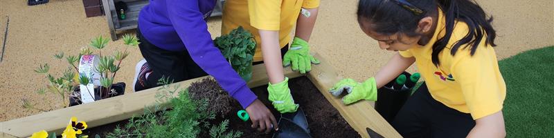 Main image for Why Growing a Garden is Great for All Children! blog post